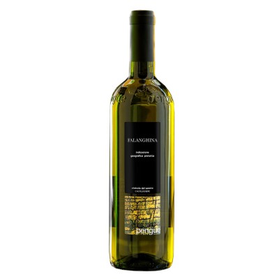 Vino Bianco Falanghina Beneventano IGT Pengue - 750 ml