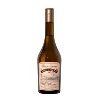 Grappa  Candolini  Bianca - 700 ml