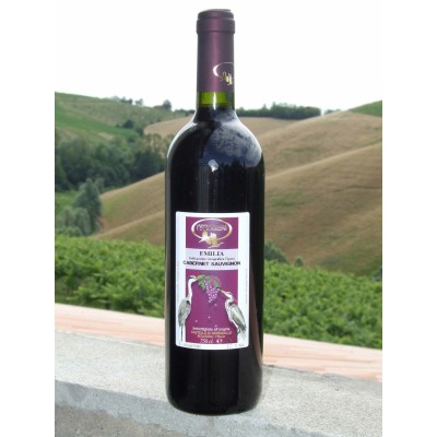 Vino Rosso Cabernet Sauvignon IGT - 6 bottiglie