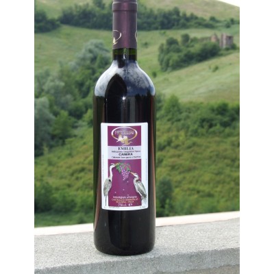 Chianti Classico Tinia