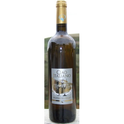 CIAO ITALIANO Pignoletto fermo - 6 bottiglie