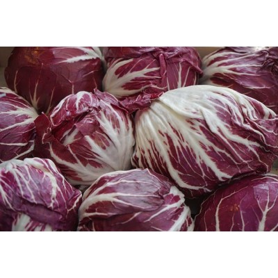 INSALATA  CHIOGGIA - 1Kg