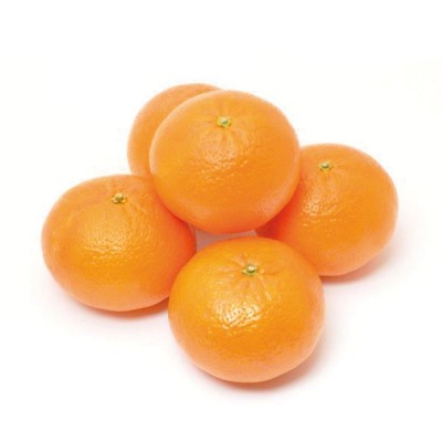 Clementini - 1,20 Kg