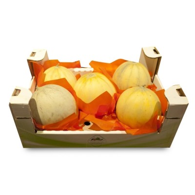 Melone Liscio a Cassa - 6,00 Kg