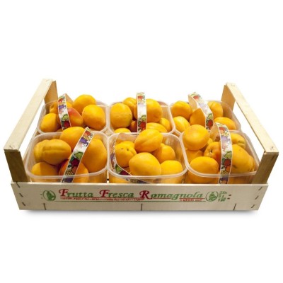 Albicocche a cassa - 8,00 Kg