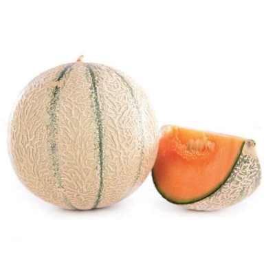 Melone Retato a Cassa - 10,00 Kg