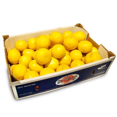 Pompelmi Bianchi - 1,10 kg