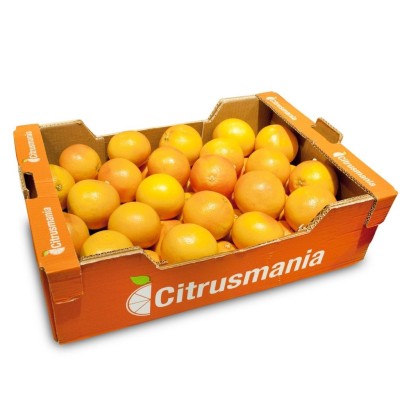 Pompelmi Bianchi - 1,10 kg