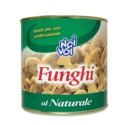 Sugo Ponti