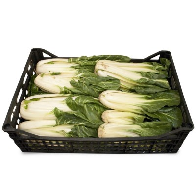 Coste a Cassa - 7,80 Kg
