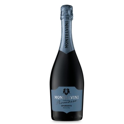 Spumante Extra Dry Promosso  Montelvini - 750 ml