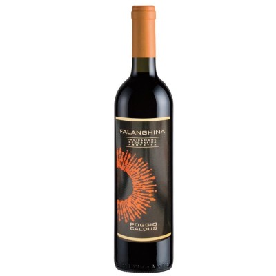 Vino Bianco Falanghina Beneventano IGP Poggio Caldus - 750 ml