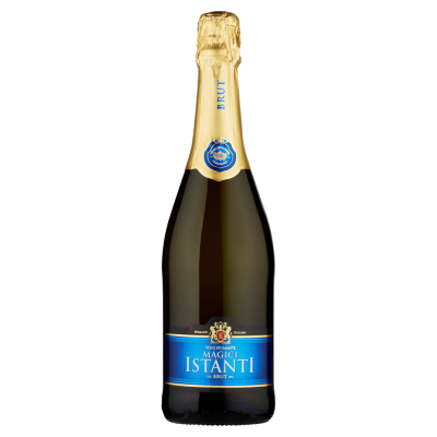 Vino Spumante Brut Magici Istanti Martini & Rossi - 750 ml