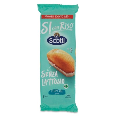 Plumcake con Riso Senza Lattosio Scotti - 190 g