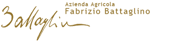Fabrizio Battaglino